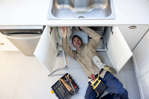 Best Commercial Plumbing Services  in Pardeeville, WI