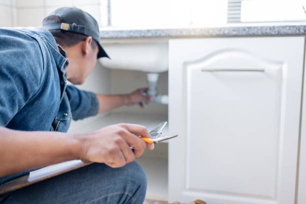 Best Emergency Plumber  in Pardeeville, WI