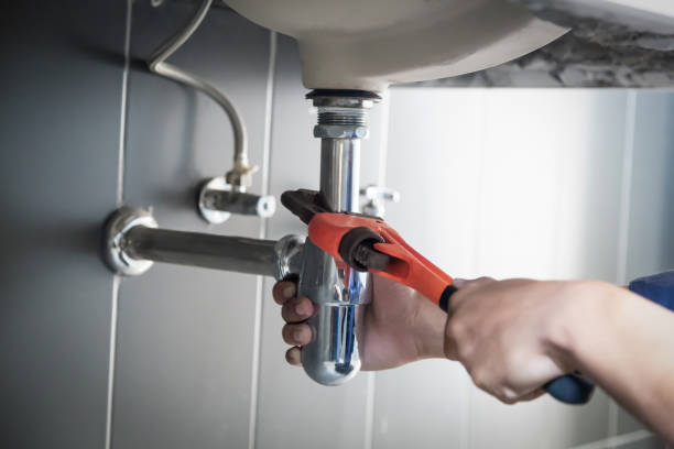 Best Plumbing Inspection Services  in Pardeeville, WI