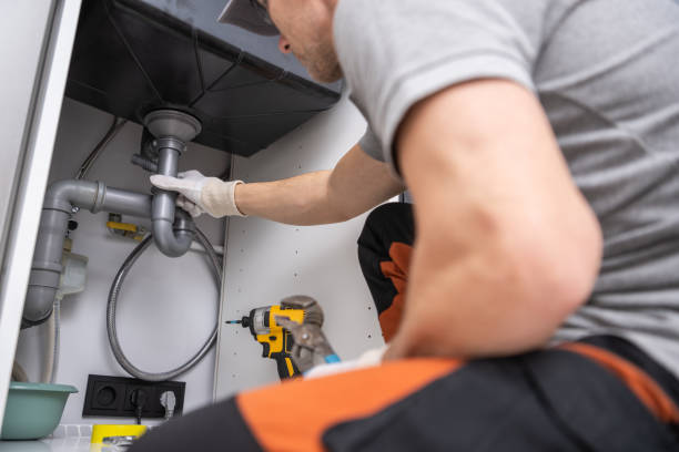 Best Commercial Plumbing Services  in Pardeeville, WI