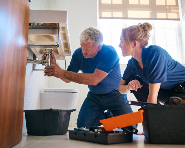 Best Affordable Plumbing Services  in Pardeeville, WI